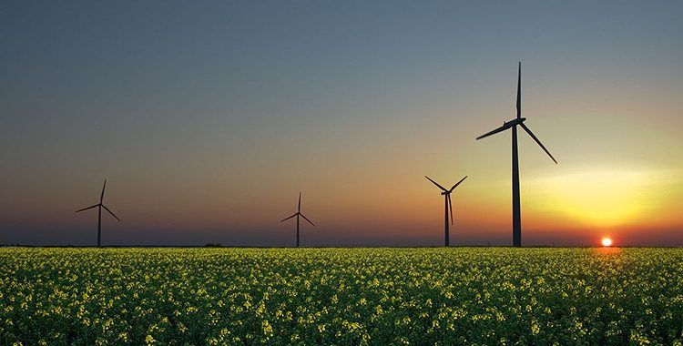 Renewables in the USA no priority for new American government